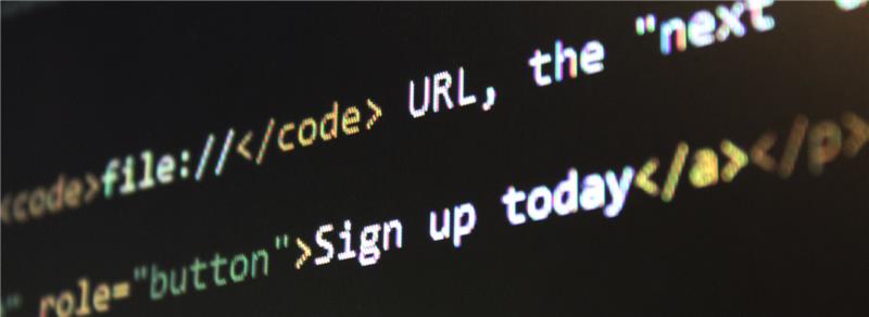 Website Hosting